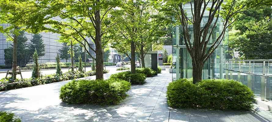 Commercial Landscaping